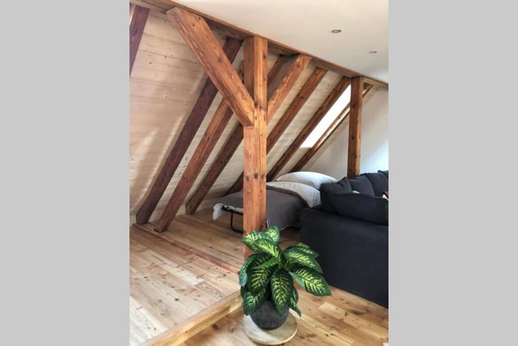 Ruhig Gelegene, Top Moderne Ferienwohnung - Hot Tub Und Sauna Gegen Aufpreis Neuhaus an Der Eger エクステリア 写真