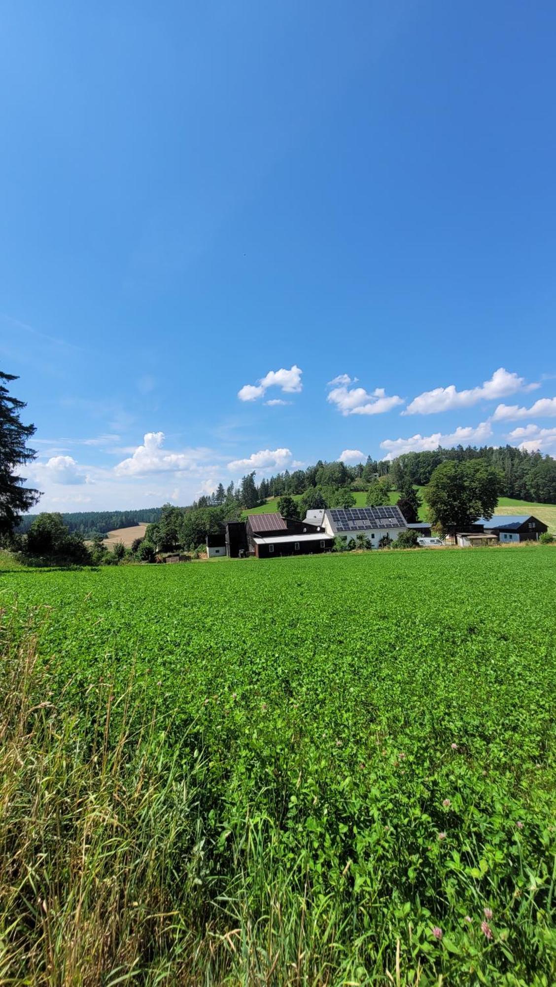 Ruhig Gelegene, Top Moderne Ferienwohnung - Hot Tub Und Sauna Gegen Aufpreis Neuhaus an Der Eger エクステリア 写真