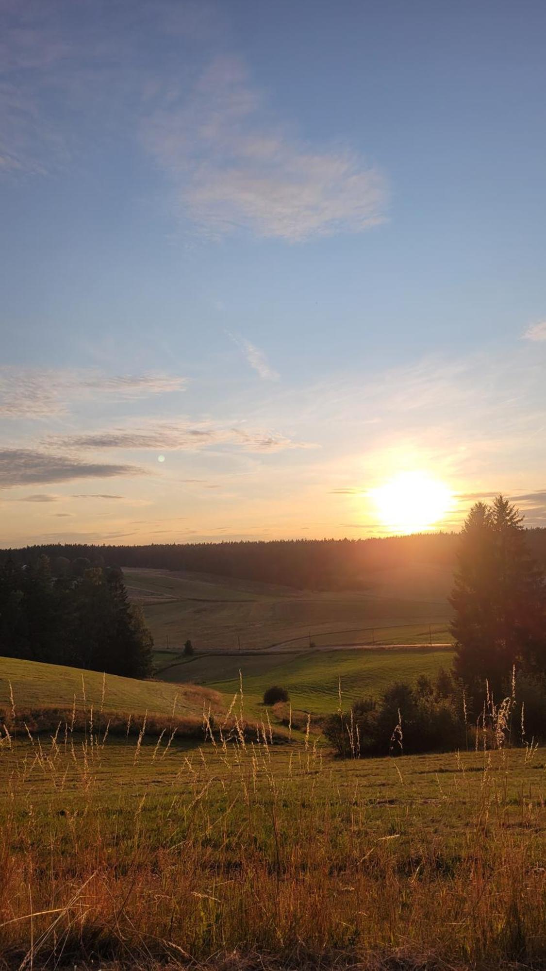 Ruhig Gelegene, Top Moderne Ferienwohnung - Hot Tub Und Sauna Gegen Aufpreis Neuhaus an Der Eger エクステリア 写真